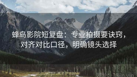 蜂鸟影院短复盘：专业拍摄要诀窍，对齐对比口径，明确镜头选择