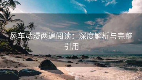 风车动漫两遍阅读：深度解析与完整引用
