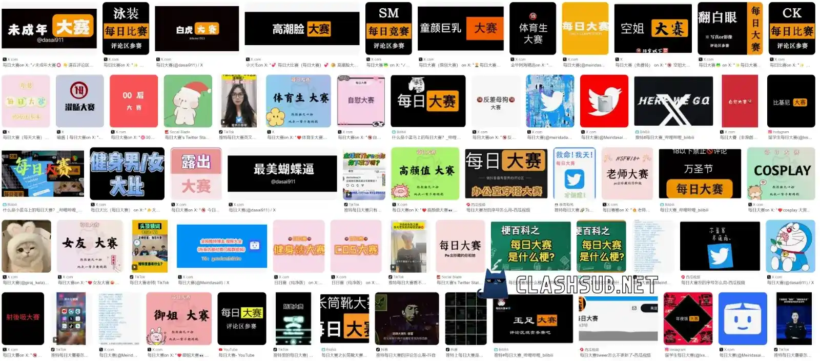 每日大赛51｜每日大赛在线观看入口｜积分数据＋战报更新