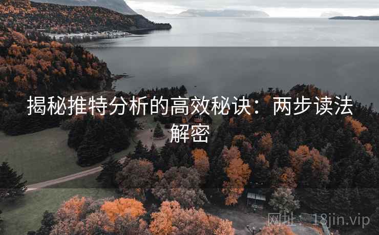 揭秘推特分析的高效秘诀:两步读法解密 揭秘推特分析的高效秘诀:两步读法解密